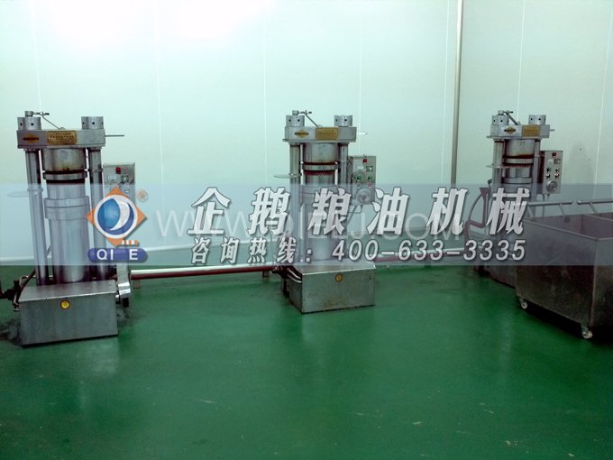 芝麻油壓榨處理設備,企鵝牌液壓榨油機勇于創新生產效率高(圖4) 芝麻油壓榨處理設備,企鵝牌液壓榨油機勇于創新生產效率高(圖4)