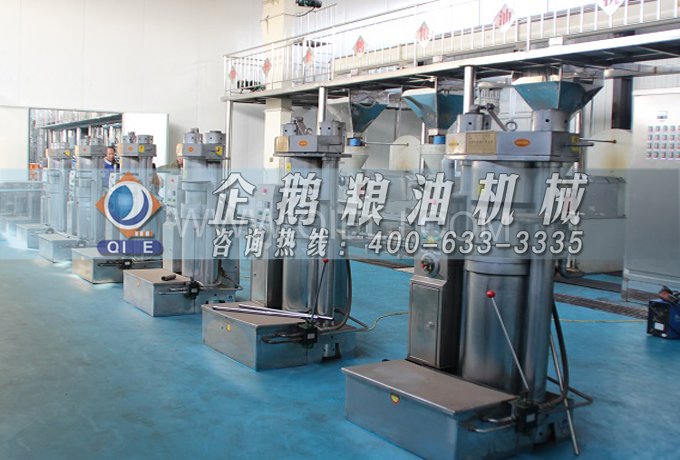 芝麻油提取加工，企鵝糧油機械生產色香味俱佳的油脂(圖3)